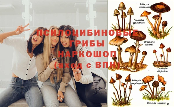 амф Елабуга