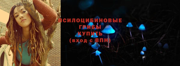 амф Елабуга
