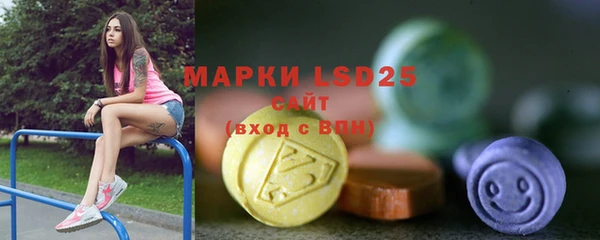 меф Ельня