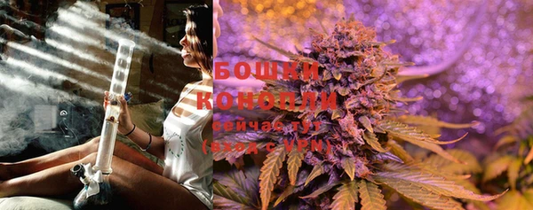 меф Ельня