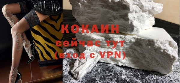 меф Ельня