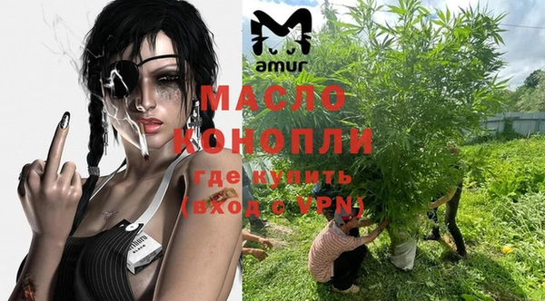 меф Ельня