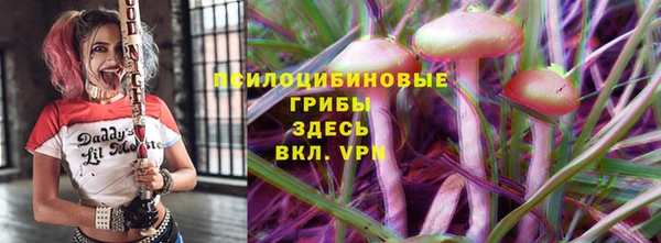 амф Елабуга