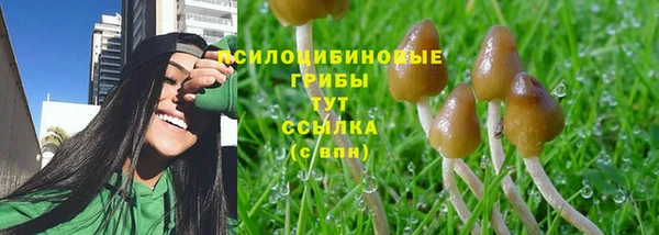 spice Заволжье