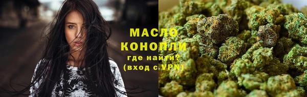 амф Елабуга