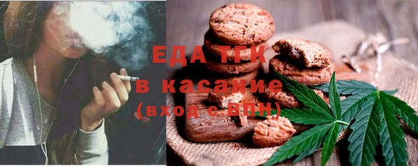 меф Ельня