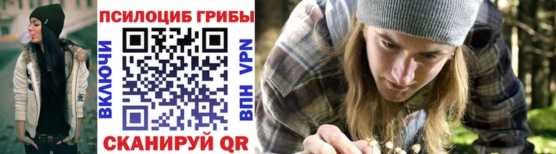 где купить наркоту  Рудня  Галлюциногенные грибы Psilocybe 
